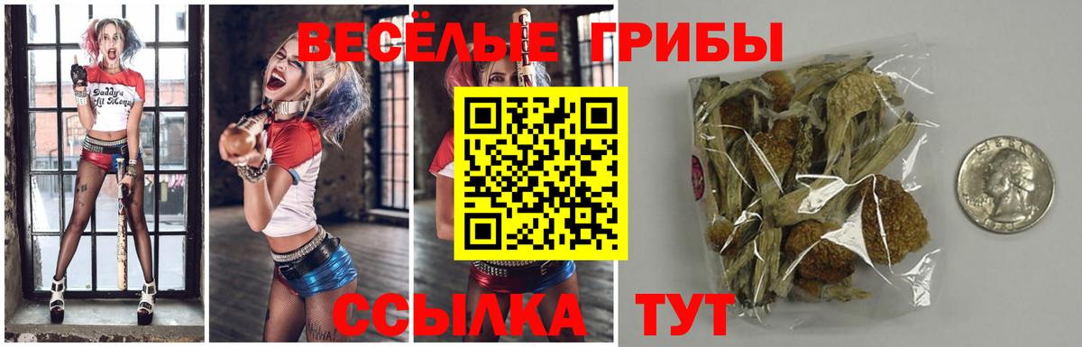 Озёры  Галлюциногенные грибы Psilocybine cubensis  Вход с VPN 